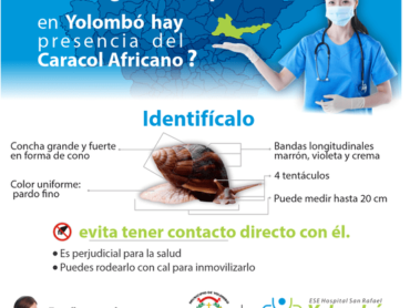 caracol ok