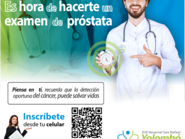 Prostata