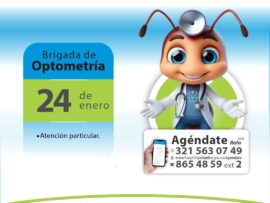 Brigada optometría_2024