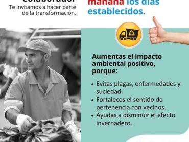 Horario recoleccion basura