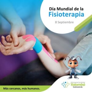 Día de la Fisioterapia