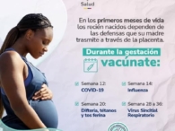 VAcunacion gestante