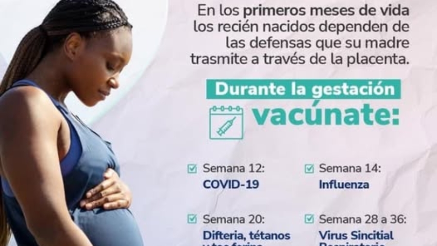 VAcunacion gestante