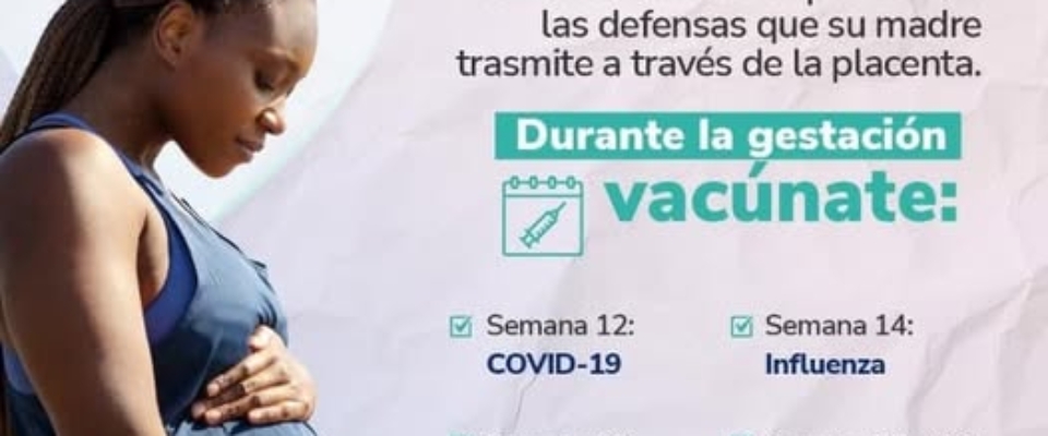 VAcunacion gestante