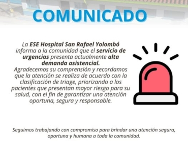 Alta demanda urgencias